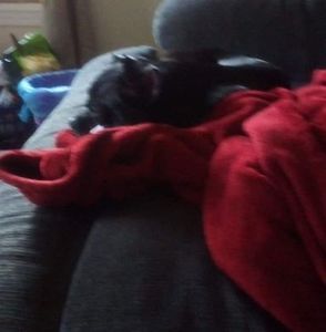 Meet your Posher, Chrissy